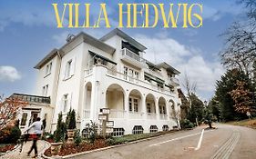Villa Hedwig - Schwarzwald Apartments mit Thermalbad-Nähe&Balkon mit Bergblick